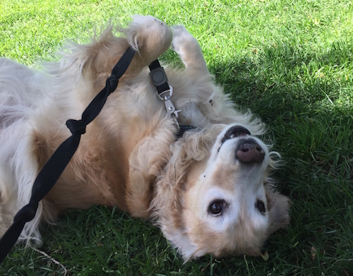 Khan Academy's Engineering Principles